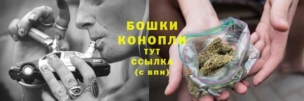 apvp Осташков
