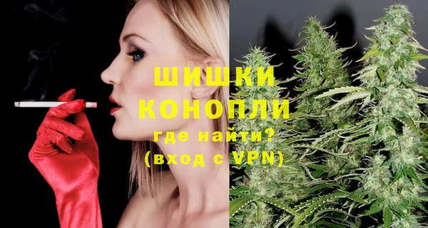 дмт Пестово