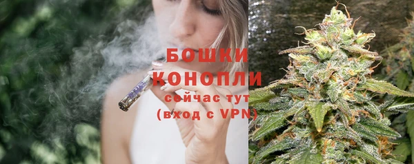 apvp Осташков