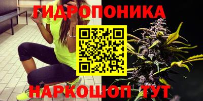 a pvp Северобайкальск