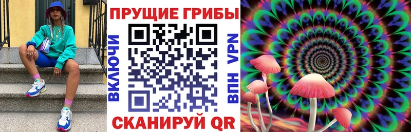 Галлюциногенные грибы Psilocybine cubensis  дарнет шоп  Серов 