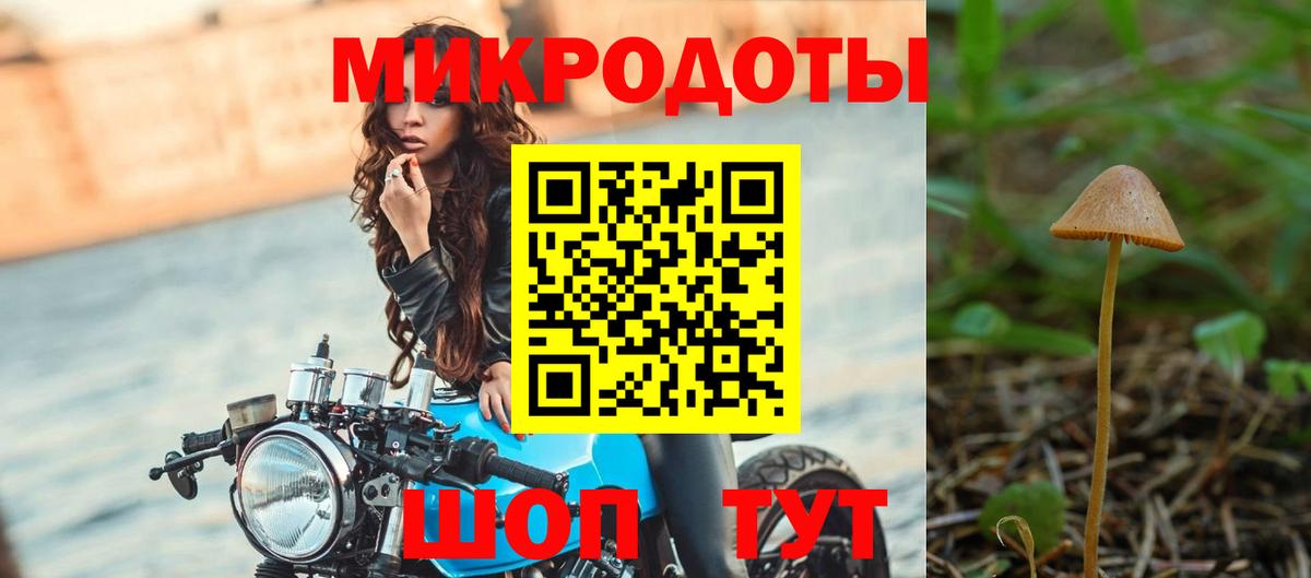Серов  Псилоцибиновые грибы прущие грибы  Вход с VPN 